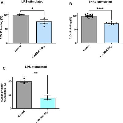 Glomerular endothelial glycocalyx-derived heparan sulfate inhibits glomerular leukocyte influx and attenuates experimental glomerulonephritis